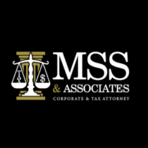 Profile picture of https://mssassociates.com.pk/