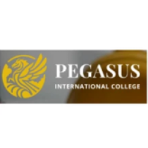 Profile picture of https://www.pegasus.edu.au/advanced-diploma-civil-construction-design